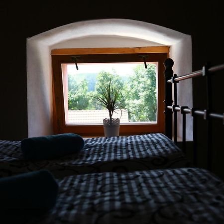 Hotel Zámek Libouň Louňovice pod Blaníkem Exteriér fotografie