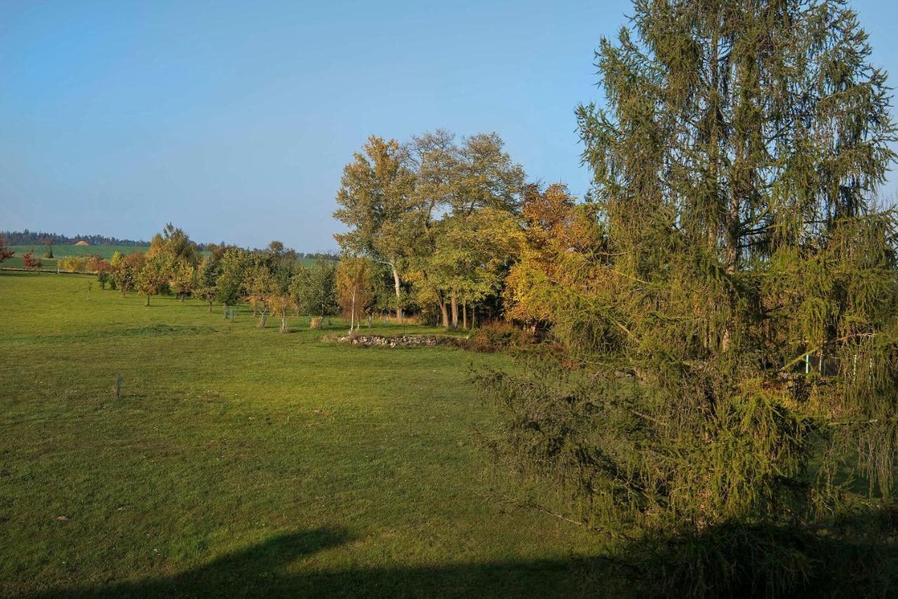 Hotel Zámek Libouň Louňovice pod Blaníkem Exteriér fotografie