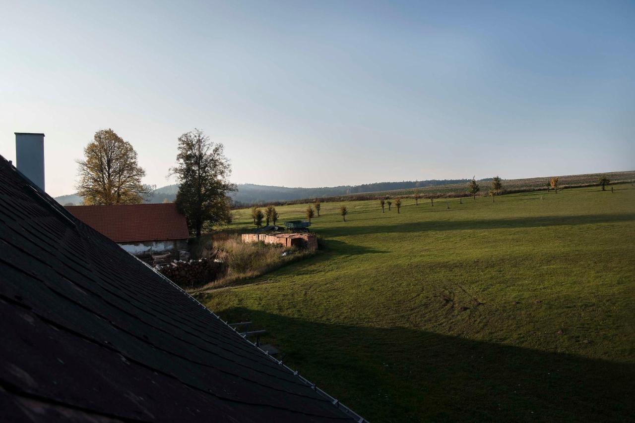 Hotel Zámek Libouň Louňovice pod Blaníkem Exteriér fotografie
