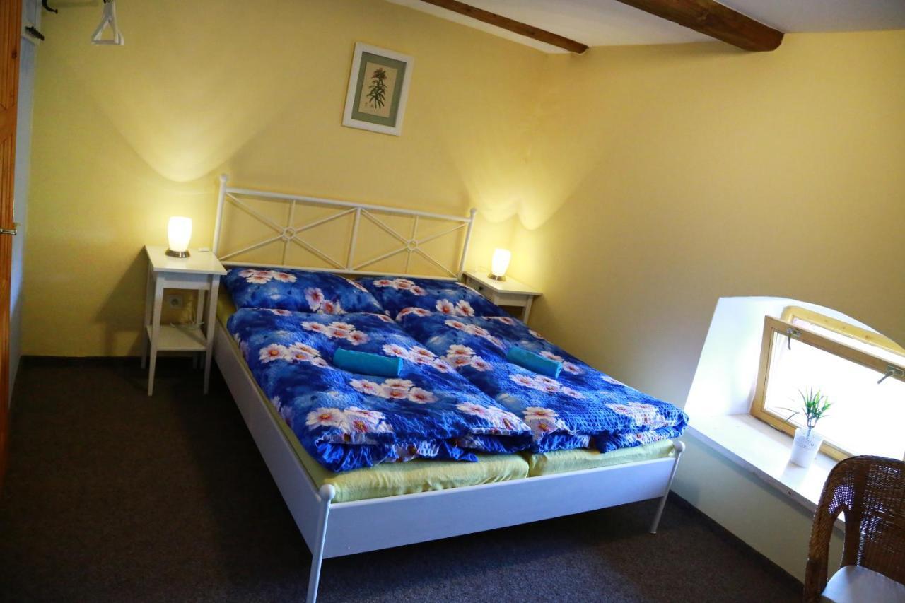 Hotel Zámek Libouň Louňovice pod Blaníkem Exteriér fotografie